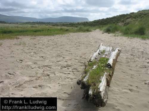 Trawalua Strand